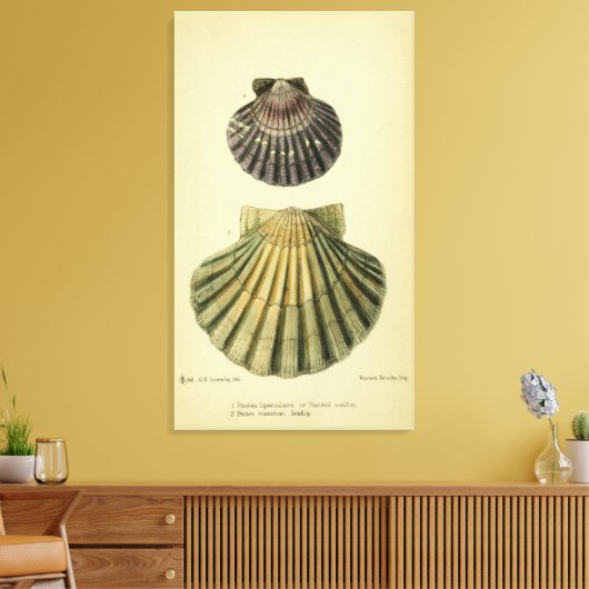 print van een Britse shell (Insitu (Woonkamer))