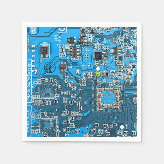 Printed Circuit Assembly PCB Blue Circuit Board Servet (Voorkant)