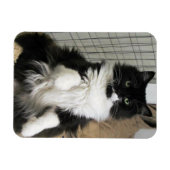 Printerkatfoto ontworpen koelkast magneet (Horizontaal)