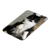 Printerkatfoto ontworpen koelkast magneet (Linkerzijde)