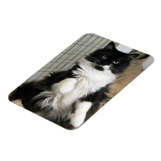 Printerkatfoto ontworpen koelkast magneet (Linkerzijde)