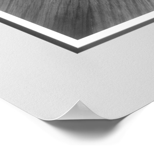 Printerpaneelafdrukken voor tenen (B&W) Poster (Hoek)