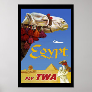 Printerreis met verblindingsfoto's in Egypte Poster