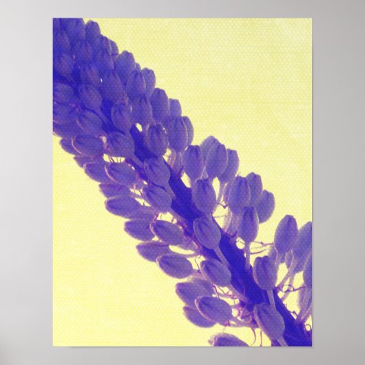 Prints (Voorkant)