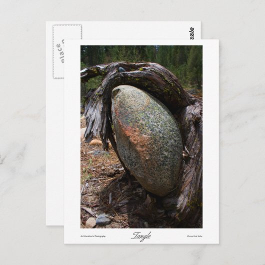 Prints Briefkaart (Voorkant / Achterkant)