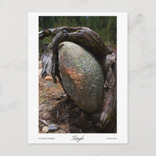 Prints Briefkaart