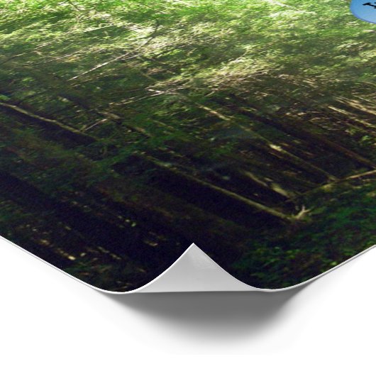 Prints en Posters: Weg door het bos (Hoek)