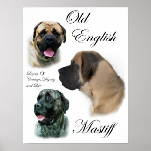 Prints Engelse Mastiff Art
