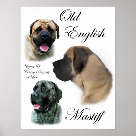 Prints Engelse Mastiff Art (Voorkant)