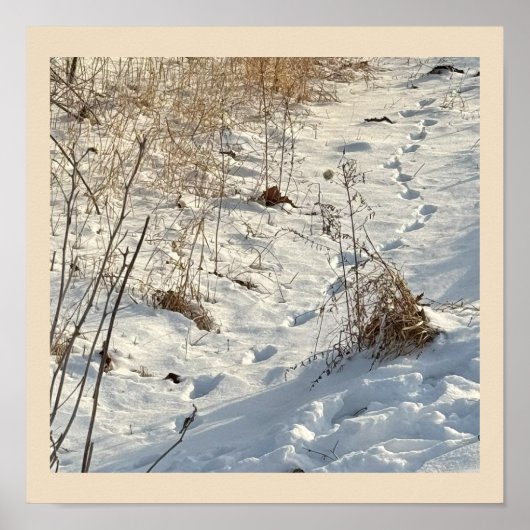 Prints in het Poster van de sneeuw (Voorkant)
