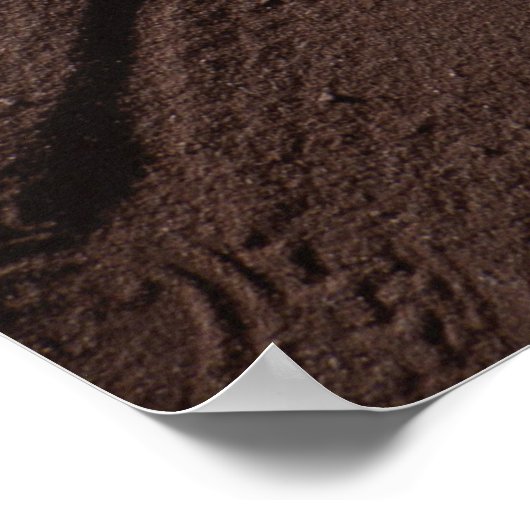 Prints in het zand (Hoek)