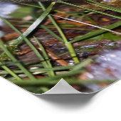 Prints met gouden koningen voor fijne kunst (Hoek)