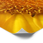 Prints van zonnebloempitten (Hoek)