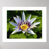 Prints voor de Folie van gele en Paarse Folie (Voorkant)