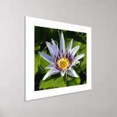 Prints voor de Folie van gele en Paarse Folie (Laagn)