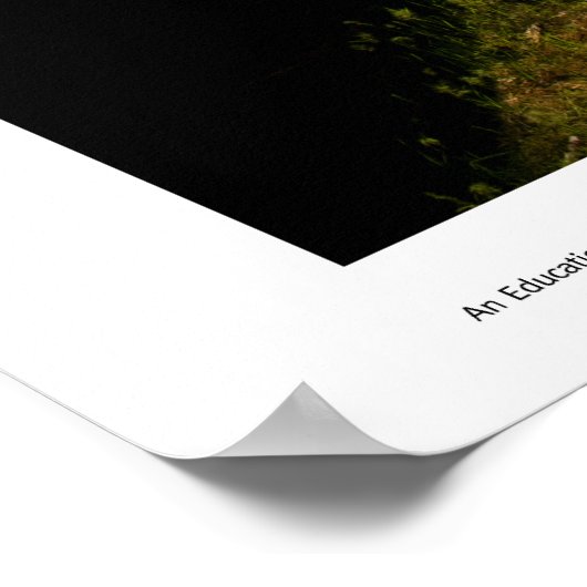 Prints voor veldwerk (Hoek)