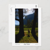 Prints voor veldwerk briefkaart (Voorkant / Achterkant)