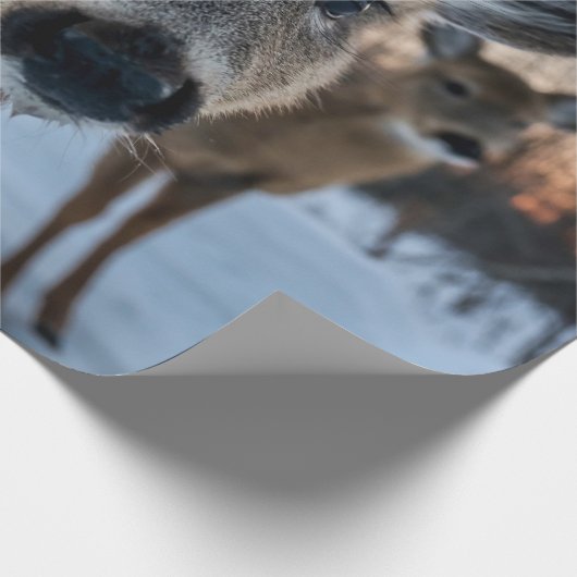 PRIORITAIR SUNSET MET WILD-LEVEN CADEAUPAPIER (Hoek)