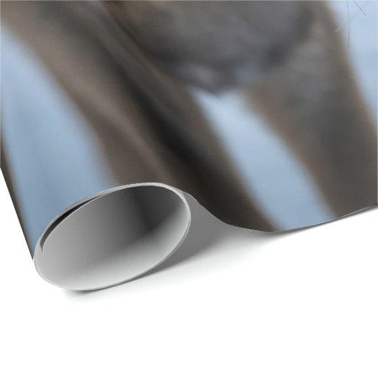 PRIORITAIR SUNSET MET WILD-LEVEN CADEAUPAPIER (Rol Hoek)