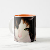 "Priscilla" de Mok van Calico Cat (Voorkant links)