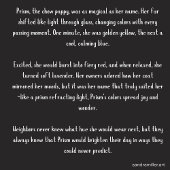 PRISM-show - opties kiezen Notitieboek