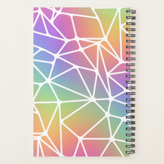 prisma synapse net - regenboog web : planner (Achterkant)