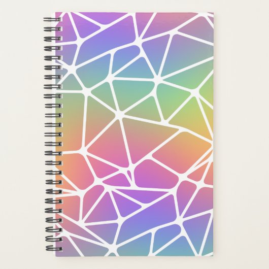 prisma synapse net - regenboog web : planner (Voorkant)