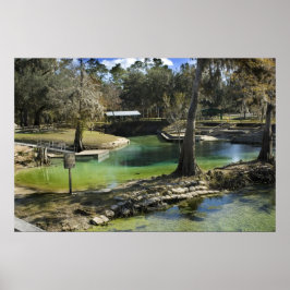 Pristine Spring in Winter Print