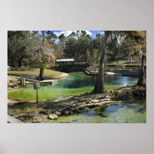 Pristine Spring in Winter Print