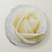 Pristine White Rose Close-up foto