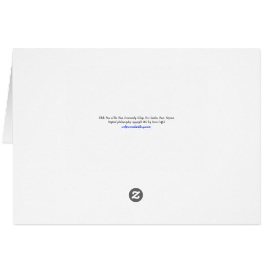 Pristine witte rozenfoto (Achterkant Horizontaal)