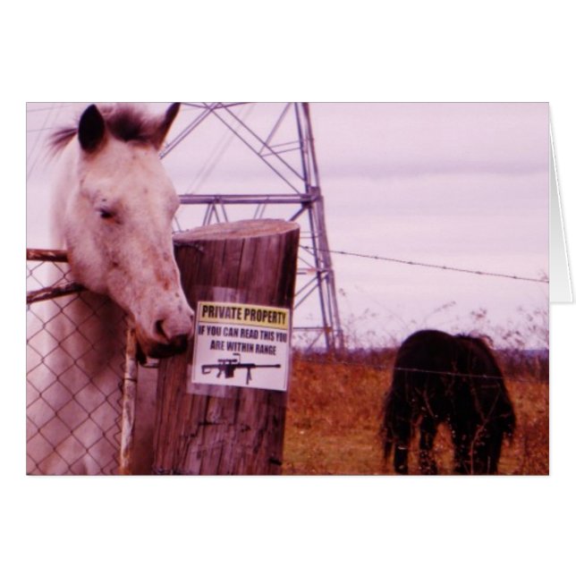 Private Property lavender Horse (Voorkant Horizontaal)