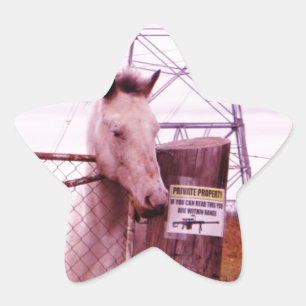 Private Property lavender Horse Ster Sticker
