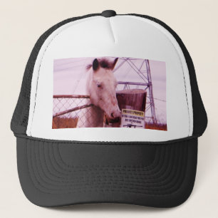 Private Property lavender Horse Trucker Pet