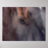 Private Thoughts Horse Eye Poster (Voorkant)