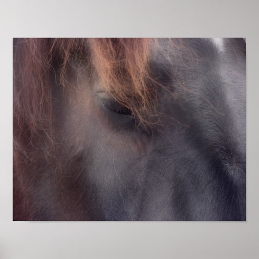 Private Thoughts Horse Eye Poster (Voorkant)
