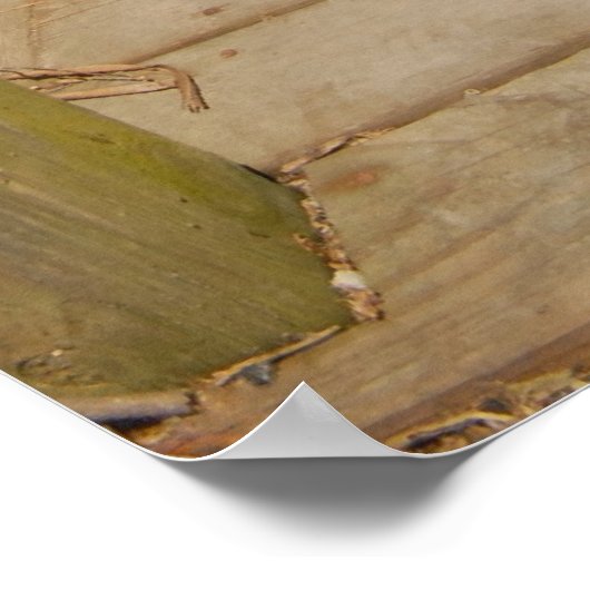 Privé-dock Poster (Hoek)