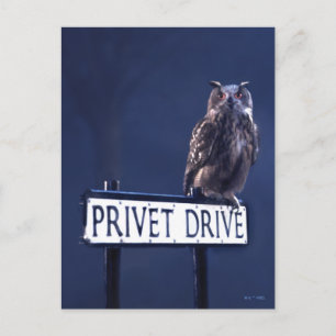 Privet-station Briefkaart