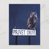 Privet-station Briefkaart (Voorkant)