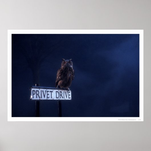 Privet-station Poster (Voorkant)