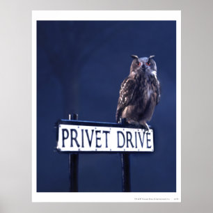 Privet-station Poster