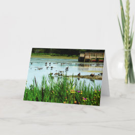 "Privilege" Lake Scene met Cattails Ducks Dock Kaart