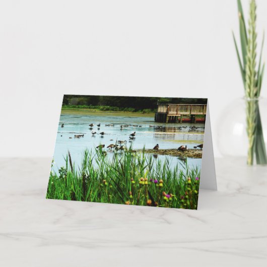 "Privilege" Lake Scene met Cattails Ducks Dock Kaart (Voorkant)