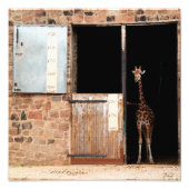 Priya Digital Art Print Foto Afdruk (Voorkant)