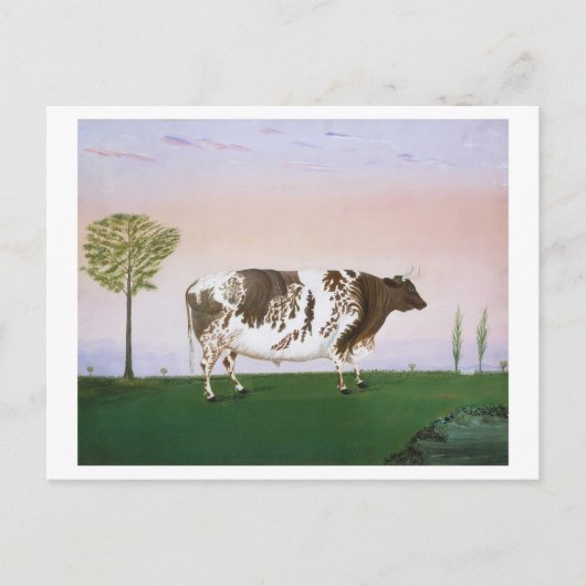 Prize Bull van H. Call Painting Briefkaart (Voorkant)