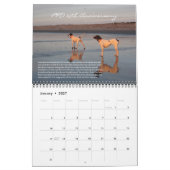 PRO 2025 25e Jubileum Kalender (Jan 2027)