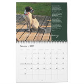 PRO 2025 25e Jubileum Kalender (Feb 2027)