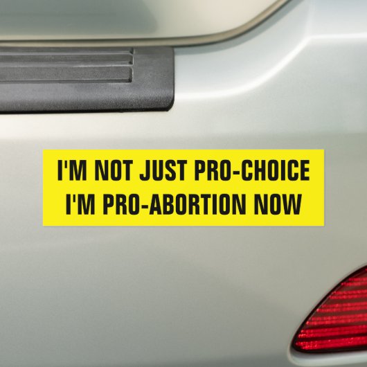 PRO-ABORTIE BUMPERSTICKER (Op auto)