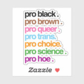 Pro Black Pro Brown Pro Queer Sticker (Vel)