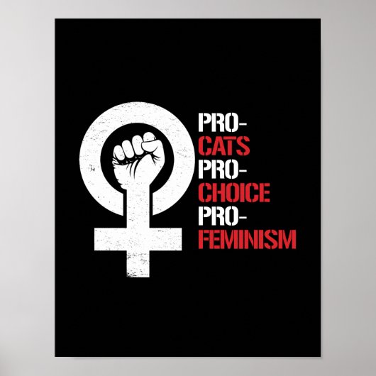 Pro-Cats Pro-Choice Pro-feminisme — wit - Poster (Voorkant)